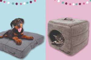  ZooRoyal-Verwöhn-Paket für Hund oder Katze